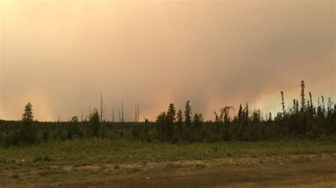 Boreal Warning Climate Change Could Make Canadas Forest A Carbon