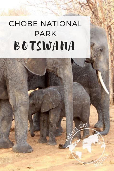 Chobe National Park Is Located In The North Eastern Part Of Botswana Beautiful Botswana As Its