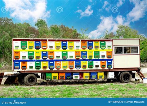 Colorful Bee Hives On A Car Trailer In The Forest Stock Photo Image