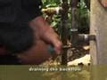 We did not find results for: IRRIGATION REPAIR - FREE Irrigation Help, Guides and Tutorials