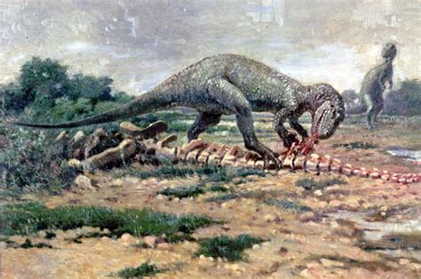 Allosaurus Facts For Kids And Adults Pictures Information And Video
