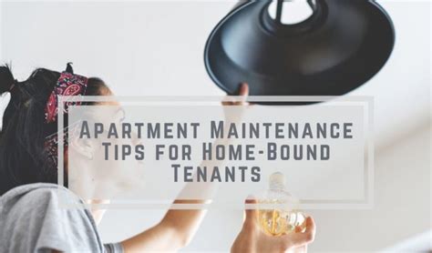 Apartment Maintenance Tips For Home Bound Tenants