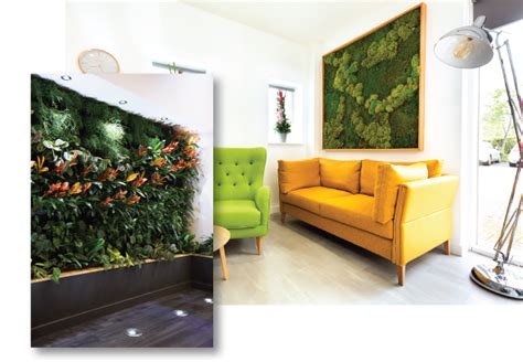 Artificial Green Walls Uk Oasis Plants