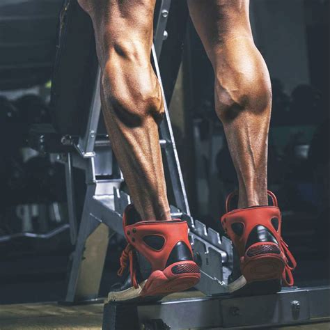Build Massive Calf Muscles With These Exercises Calf Exercises Best Calf Exercises Calf Muscles