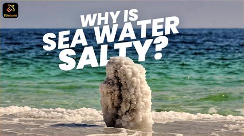 Why Seawater Is Salty Eduauraa