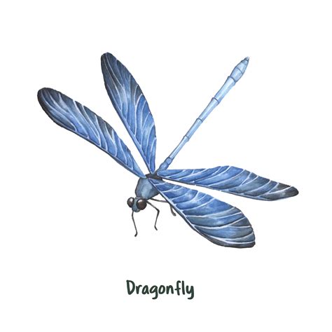 Clipart Dragonfly Svg 2118 Svg Images File Best Svg Cut File For