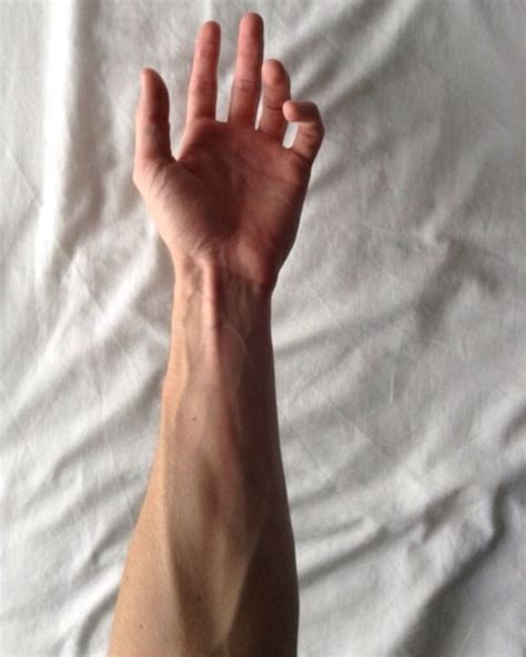 Delicate Masculinity Hand Veins Male Hands Arm Veins