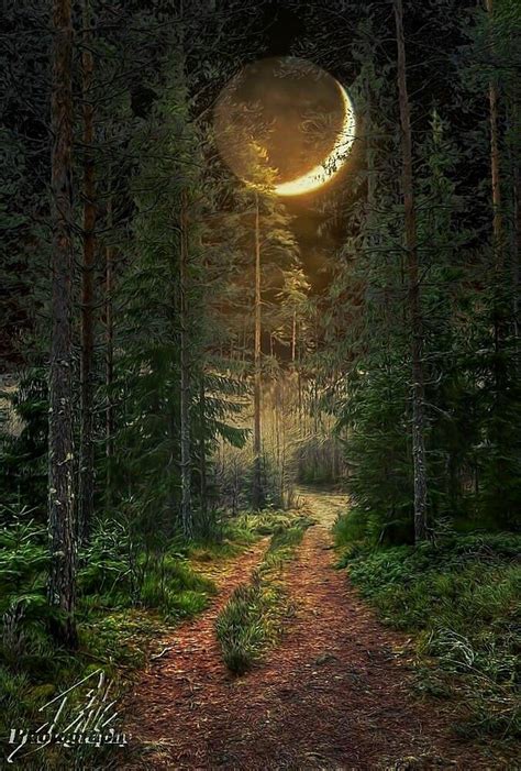 Crescent Forest Moon Forest Moon Fantasy Landscape Mystical Forest