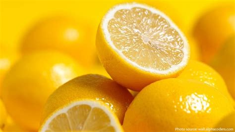 Interesting Facts About Lemons Just Fun Facts