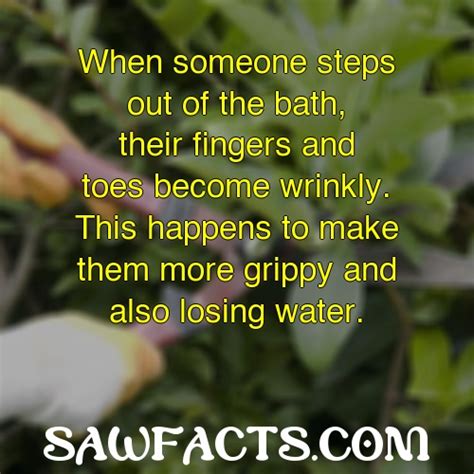 Do Fingers Prune In Salt Water Quick Answers Saw Facts