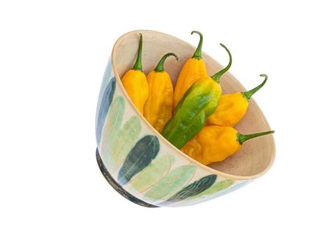 Top 60 Yellow Chili Pepper Stock Photos Pictures And Images Istock