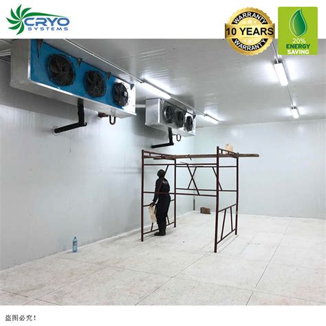 Fruits Vegetable Cold Storage Fish And Chicken Coldroom Factory Cold