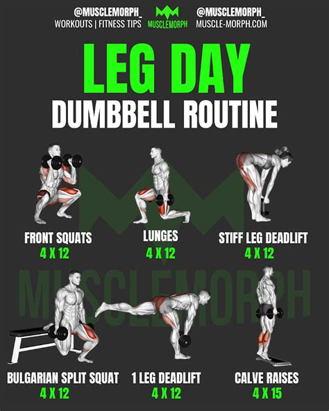 Dumbbell Leg Day Leg Workout Routine Workout Program Gym Gym