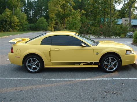 New Pictures 2002 Mustang Gt Got My Tint Done Ford Mustang Forum