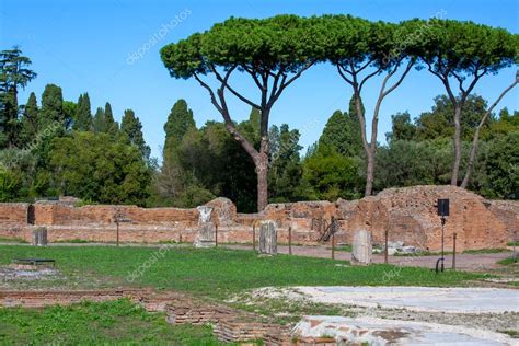 Colina Palatina Vista De Las Ruinas De Varios Edificios Antiguos