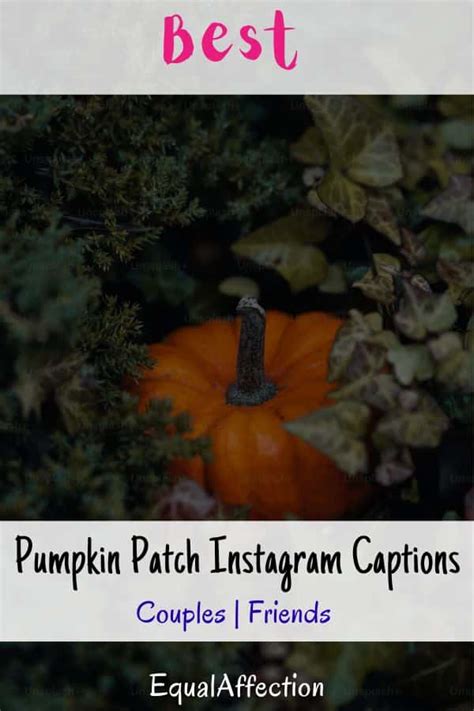 90 Best Pumpkin Patch Instagram Captions Couples Friends Currentyear