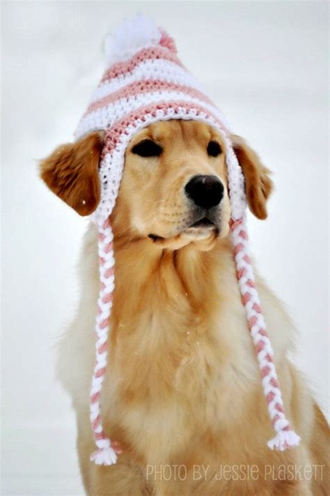 Crochet X Large Dog Hat Pet Clothing Pet Supplies