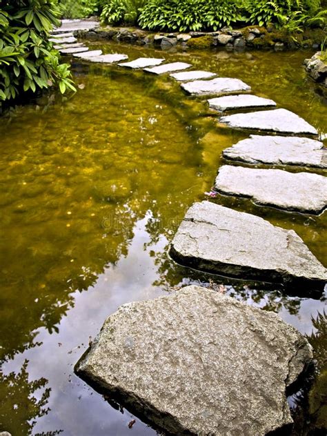 Stepping Stones Stock Image Image 3060241