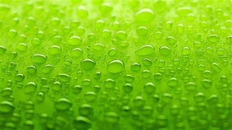 Hd Lime Green Backgrounds Cute Wallpapers 2024