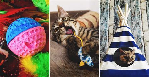 40 Diy Cat Toys Every Cat Lover And Their Cats Will Adore