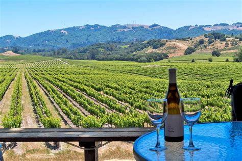 The 11 Best Wineries In Sonoma County