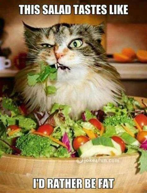 Joke4fun Memes How I Feel About Salad