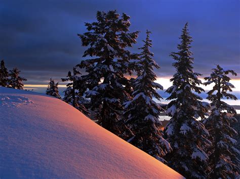 winter, Trees, Hill, Landscape Wallpapers HD / Desktop and Mobile ...