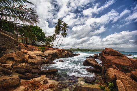 Free Wallpapers Sri Lanka Beach Stones Palm