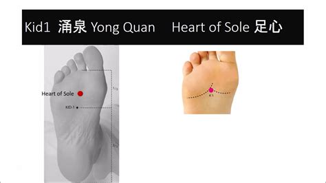 Exploring Acupuncture Points The Kidney Channel Youtube