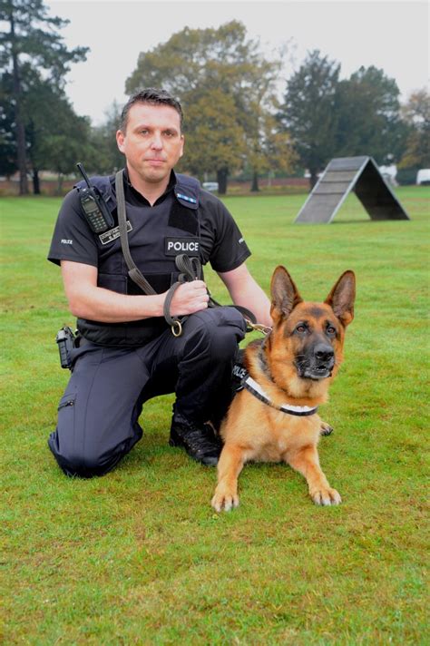 Dog news magazine, america's weekly magazine devoted to the sport of purebred dogs. Longest serving police dog to retire - News Today