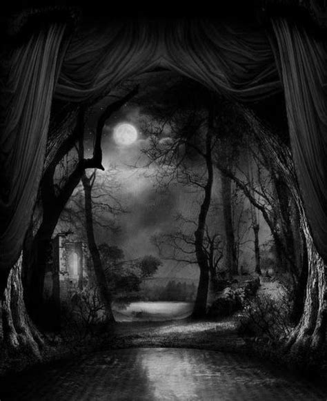 Into The Woods Backdrop Notte