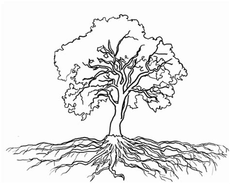 Facebook is showing information to help you better understand the purpose of a page. Olive Tree Coloring Page at GetColorings.com | Free ...