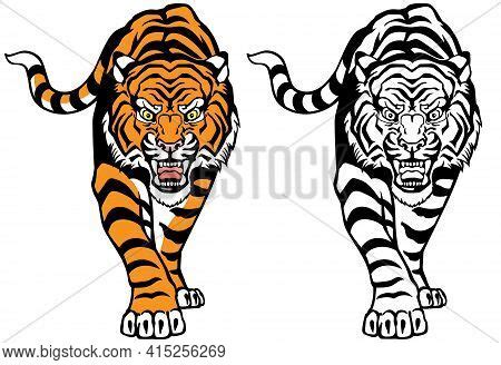 Angry Roaring Tiger Vector Photo Free Trial Bigstock