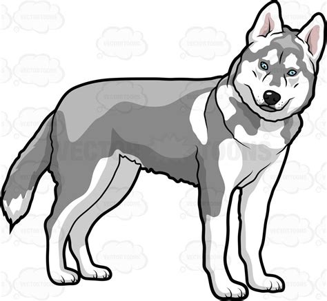 'flat style dog head icons. A Big Dog Turning To Face The Camera | Cartoon drawings ...