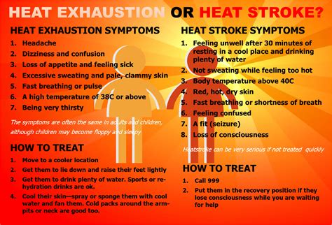 Heat Exhaustion Vs Heatstroke Whats The Difference And How To Stay Safe The Best Porn Website