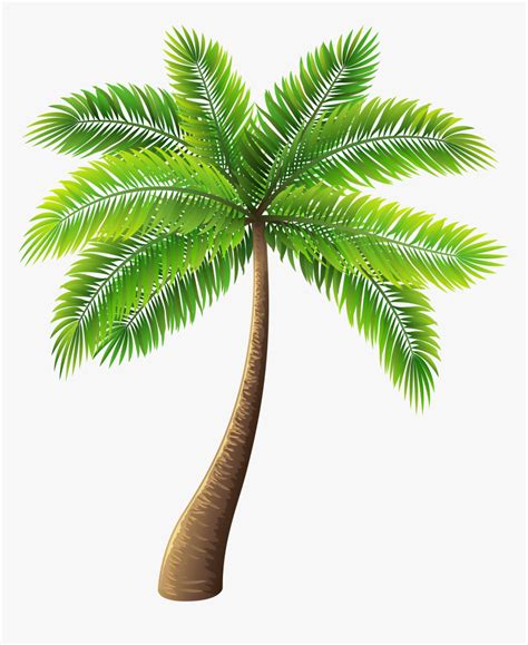 Palm Tree Clip Art Png