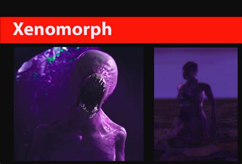Xenomorphs Galnet Wiki Fandom