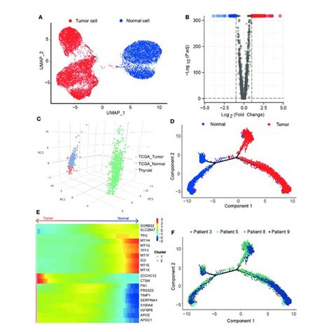 Single Cell Sequencing Reveals Differentially Expressed Genes In Download Scientific Diagram