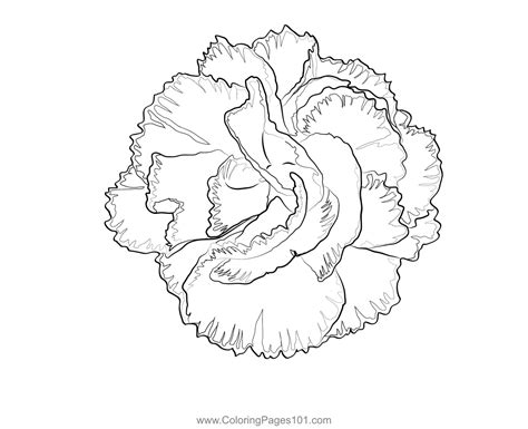 Carnation Flower Coloring Page For Kids Free Carnations Printable