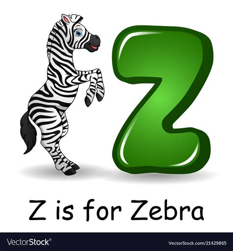 Animals Alphabet Z Is For Zebra Royalty Free Vector Image