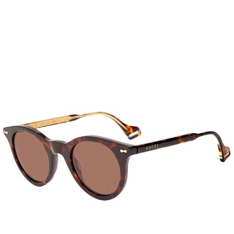 gucci lines acetate sunglasses havana and brown end