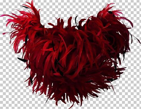 Feather Boa Bird Red Png Clipart Animals Beautiful Beautiful