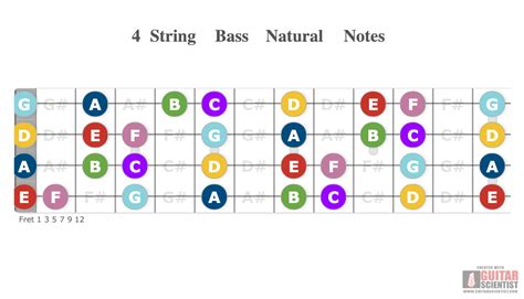 Guitar wiring diagrams for tons of different setups. 4 String Bass Natural Notes - Guitar Scientist
