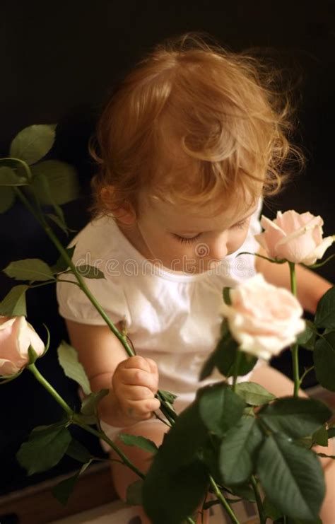Little Baby With White Roses In Her Hands A Girl In A White T Shirt Is