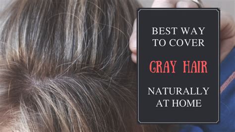 Gray hair is among the most dreadful nightmares that women have. 20 Best Way To Cover Gray Hair Naturally At Home | Fab ...