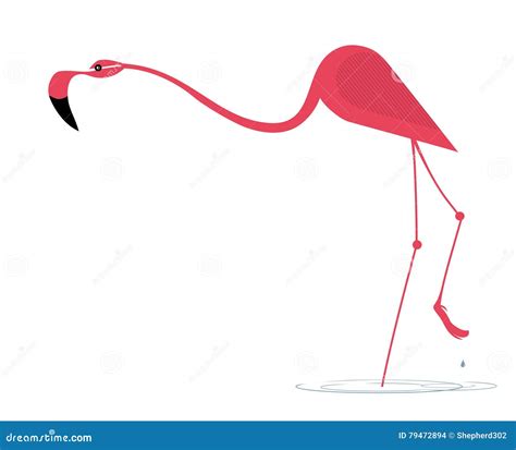 Elegant Pink Flamingo Stock Vector Illustration Of Feature 79472894
