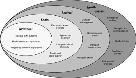 The Individual Social Societal And Health System Factors That
