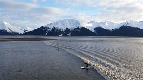 Turnagain Arm Bore Tide Anchorage Alaska Atlas Obscura