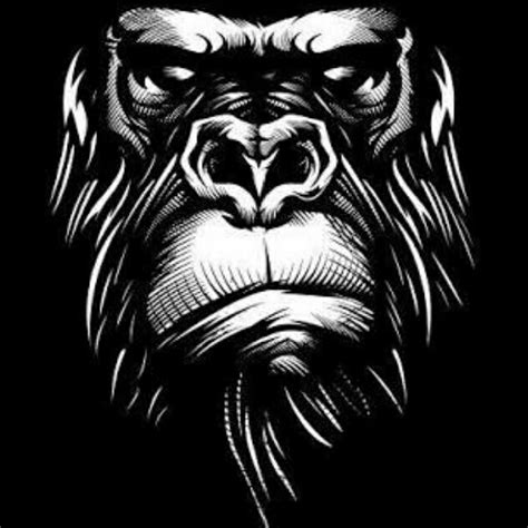 900 × 900 Gorilla Tattoo Gorillas Art Monkey Art