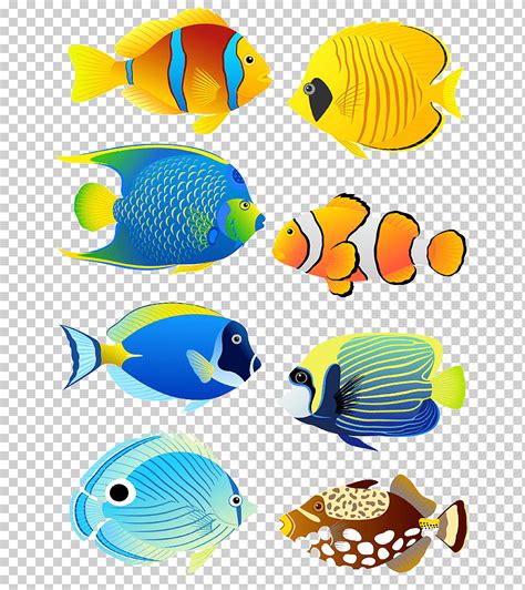 Ilustración de 8 especies diferentes de peces acuario pez ángel peces